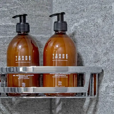 Bank House M 203 - Griwa Rent * Interlaken